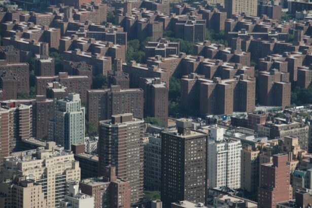 Ifunanya Okechukwu Ijedinma Bronx Morris Avenue