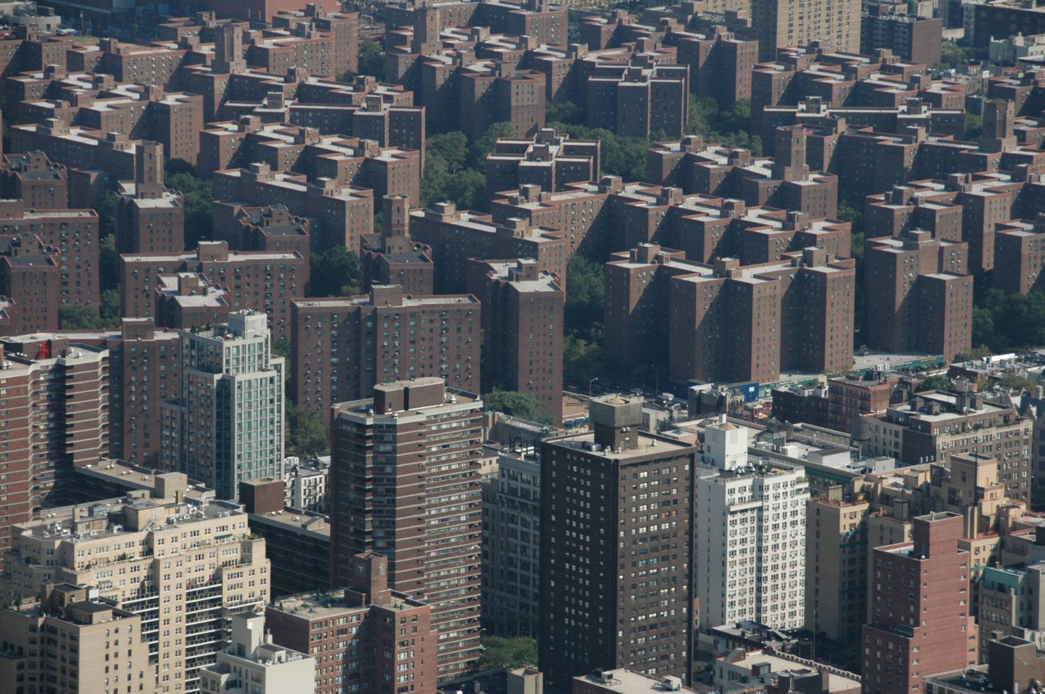Ifunanya Okechukwu Ijedinma Bronx Morris Avenue