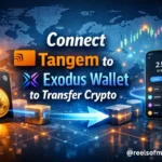 Connect Tangem to Exodus Wallet to Transfer Crypto