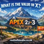 what is the value of x apex 2.2 3