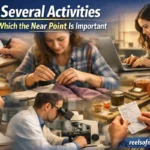 list several activities during which the near point is important