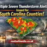 multiple severe thunderstorm alerts issued for south carolina counties